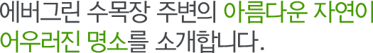 에버그린 수목장 주변의 아름다운 자연이 어우러진 명소를 소개합니다.